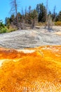 Mammoth Hot Springs at Yellowstone National Park in Wyoming, USA