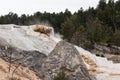 Mammoth Hot Springs at Yellowstone