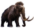 Mammoth