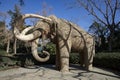 Mammoth. The mammoth of the Ciutadella park, in Barcelona