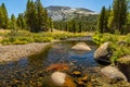 Mammoth Peak from Dana Fork Royalty Free Stock Photo