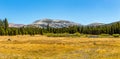 Mammoth Peak from Dana Fork Royalty Free Stock Photo