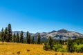 Mammoth Peak Royalty Free Stock Photo