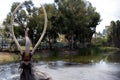 Mammoth sculpture at the La Brea Tar Pits