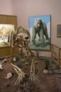 Mammoth Site Of Hot Springs, South Dakota. Museum