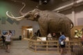 Mammoth Site Of Hot Springs, South Dakota. Royalty Free Stock Photo