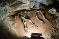 Mammoth skeleton in a cave Emine Bair Khosar. Crimea. Royalty Free Stock Photo