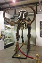 A Mammoth Skeleton at GeoDecor Fossils & Minerals