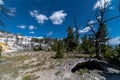 Mammoth Spring Area in the Yellowstone Park