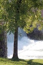 Mammoth springs