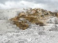 Mammoth Springs Yellowstone National Park travertine rock formations Royalty Free Stock Photo