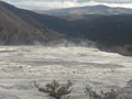 Mammoth Springs Yellowstone National Park travertine rock formations Royalty Free Stock Photo