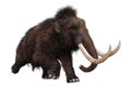 Mammoth in a white background