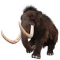 Mammoth in a white background