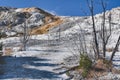 Mammouth hot springs