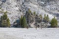 Mammouth hot springs