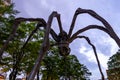 Maman spider sculpture
