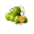 Mamoncillo delicious tropical fruit isolated. Melicoccus bijugatus Spanish lime genip guinep genipe ginepa quenepa quenepe chenet