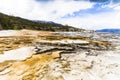 Mamoth hot springs Royalty Free Stock Photo