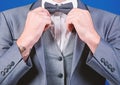 Man adjust suit with bow tie. Formal suit jacket close up. Male fashion and aesthetic. Businessman formal outfit Royalty Free Stock Photo