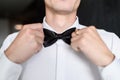 A man adjusts his stylish black bow tie. The concept of clothing and business style.No face.Close-up. Royalty Free Stock Photo