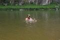 man aged plunged into the water looking or peeping through waterproof camera. Professional photographer job concept. Work in Royalty Free Stock Photo