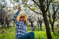 Farmer inspecting blooming fruit tree and holding digital tablet in orchard farm at spring Royalty Free Stock Photo