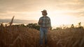 Man agronomist farmer in golden wheat field at sunset