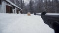 A man aiming a pellet gun towards a target, practicing his aim in the winter. Clip. The shooter in camouflage targets a Royalty Free Stock Photo