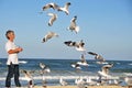 A Man alone on the beach feeding seagulls by hand. Royalty Free Stock Photo