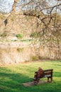 Man Alone in a Park Sitting on a Bench