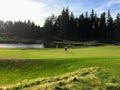 A man alone on a putting green playing golf surrounded by beautiful scenery outside of Victoria, British Columbia, Canada.