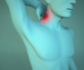 Man anatomy neck pain, muscle and head