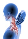 Man anatomy neck pain Royalty Free Stock Photo