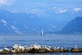 Man and animal in mountain dÃÂ©cor and Lake Geneva Royalty Free Stock Photo