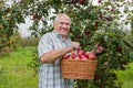 Man in apple garden. Royalty Free Stock Photo