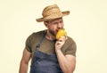man in apron and hat bite sweet pepper vegetable isolated on white Royalty Free Stock Photo