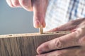 Man assembling furniture at home, hand with wooden dowel pins