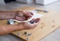 Man assembling furniture at home, male hand with wooden dowel pins and screws Royalty Free Stock Photo