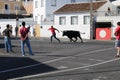 A man attempts to outrun a bull