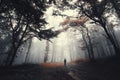 Man in autumn forest with fog Royalty Free Stock Photo
