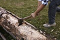 Man with axe cutting wood outdoors, closeup Royalty Free Stock Photo