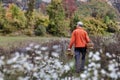 Man back walking in a field collecting mushrooms Royalty Free Stock Photo