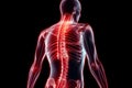 man with back pain, sports injury and fitness, spine x-ray and anatomy with red overlay, medical problem and health AI generated Royalty Free Stock Photo