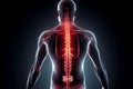 man with back pain, sports injury and fitness, spine x-ray and anatomy with red overlay, medical problem and health AI generated Royalty Free Stock Photo