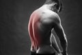 Man with backache. Pain in the human body. Muscular male body. Handsome bodybuilder posing on gray background Royalty Free Stock Photo