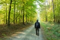 A man with a backpack going through the forest Royalty Free Stock Photo