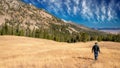 Man with a backpack hike through a high mountain meadow