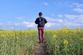 Man with a backpack in rapeseed field Royalty Free Stock Photo