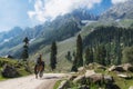 A man with backpack riding horse on country road in summer with beautiful nature landscape view at Sonamarg, Jammu and Kashmir